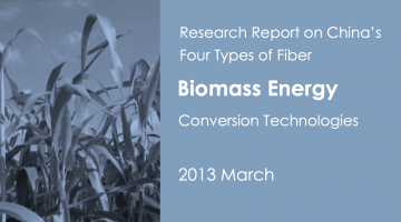 Research Report on China's Four Types of Biomass Energy Conversion Technologies